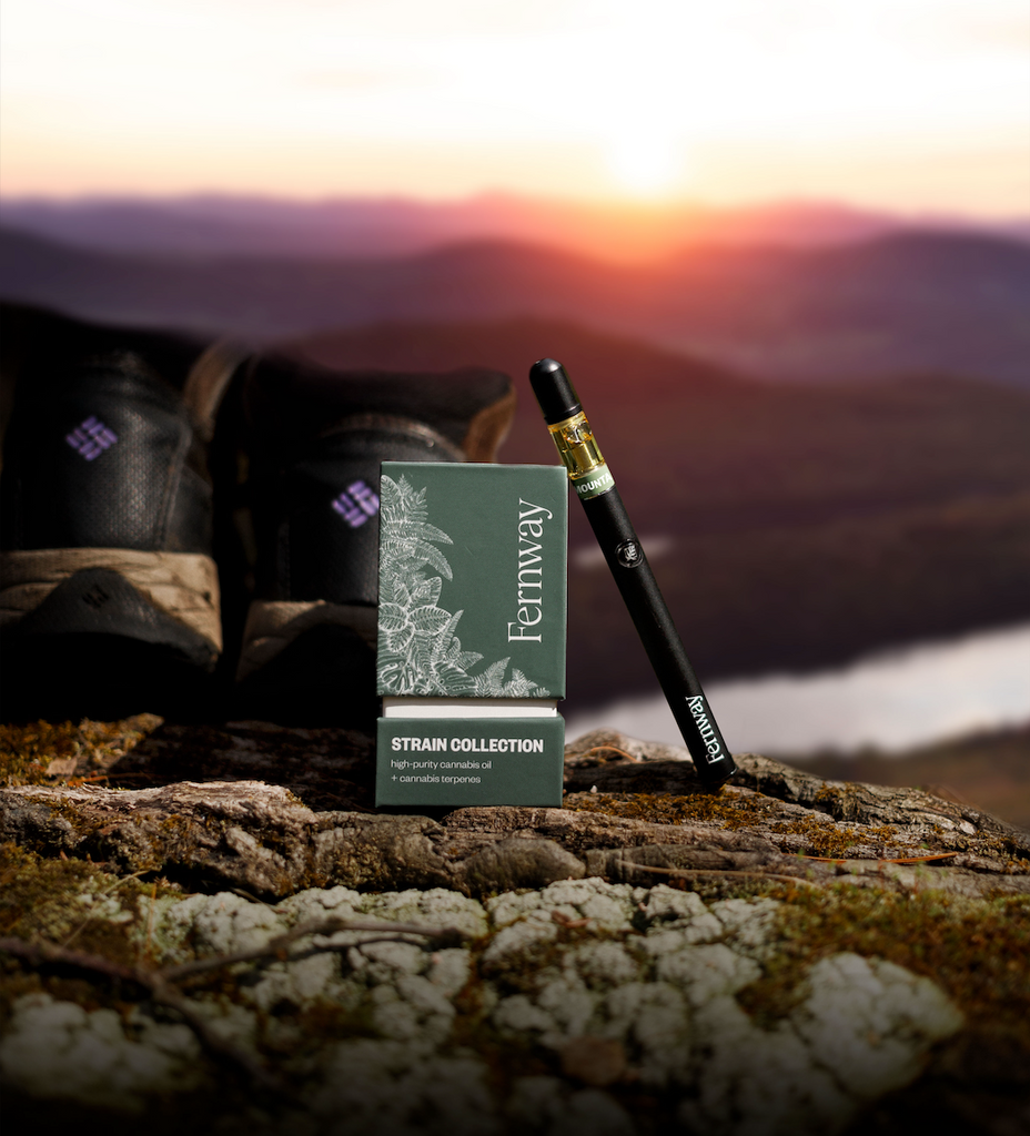 A Mountain Girl vape leaning against its box next to some hiking boots at the top of a mountain, backlit by sunset.