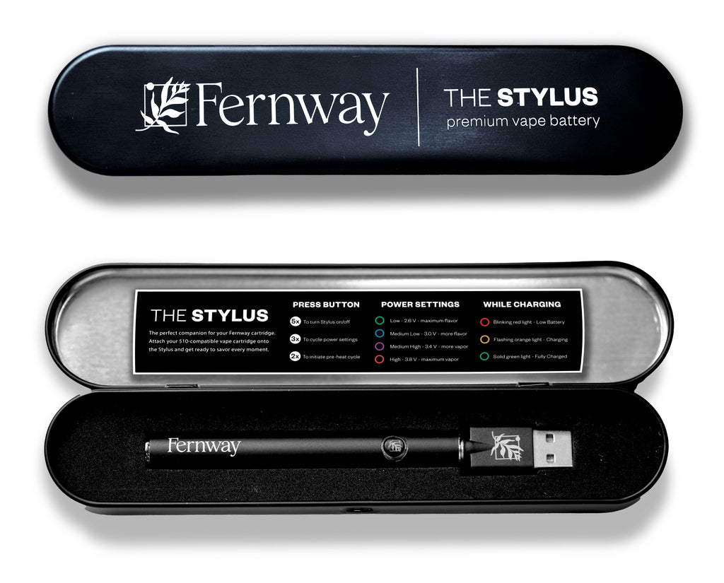 Fernway STYLUS in its packaging.